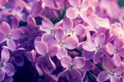 开云体育中国官网-意甲焦点战之夜，巴斯托尼如何以一己之力主宰比赛走向