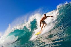 开云体育中国-猛龙掀翻深圳队，福克斯成为关键先生