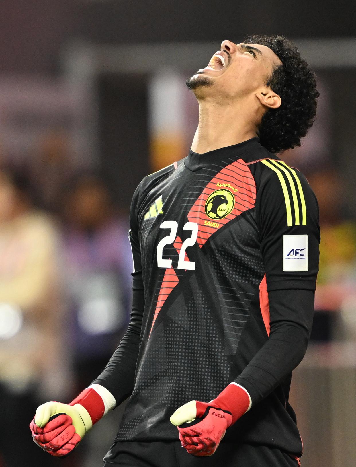 包含澳大利亚队在比赛中遭遇挑战，险胜对手的词条