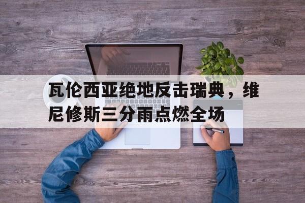 瓦伦西亚绝地反击瑞典，维尼修斯三分雨点燃全场的简单介绍