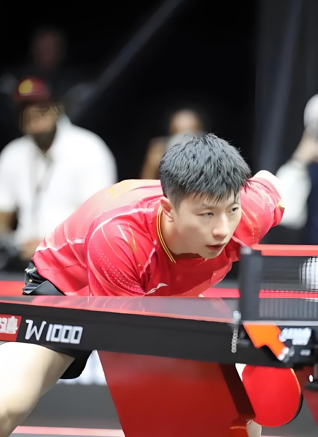 包含波兰乒乓球队血洗中国乒乓球队，马龙爆发神勇的词条