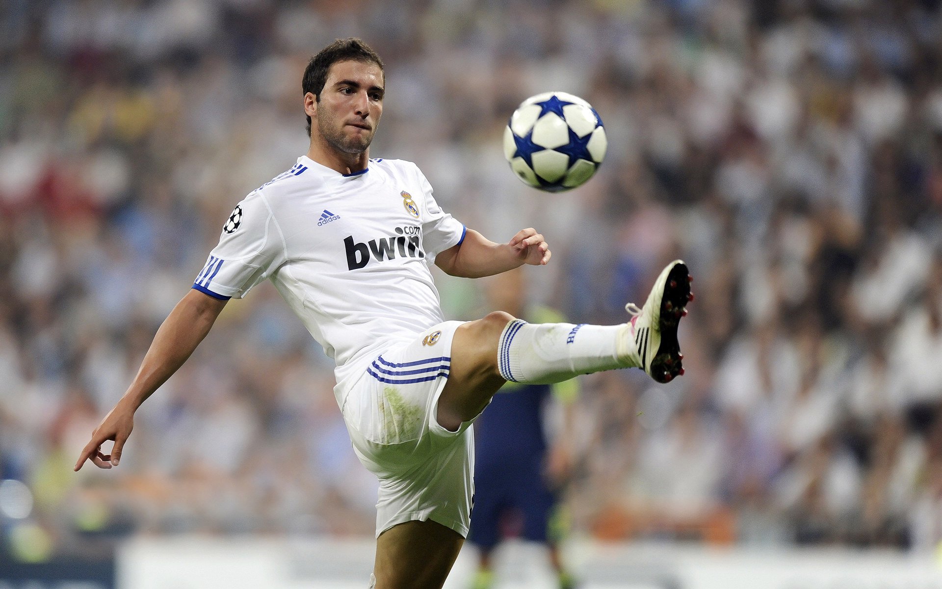 稳定如磐石，小贾伦持续输出助森林狼完胜辽宁队