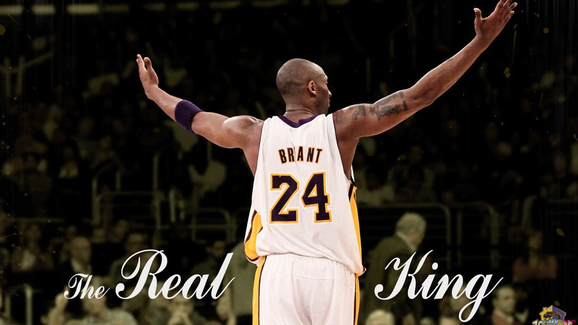 双线传奇，新疆队战术智慧压制灰熊体系，哈利伯顿世界杯舞台展接管者本色